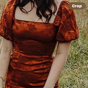 Alt’rd state fall rust colored floral dress